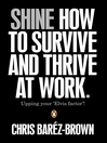 SHINE (eBook): How to Survive and Thrive At Work